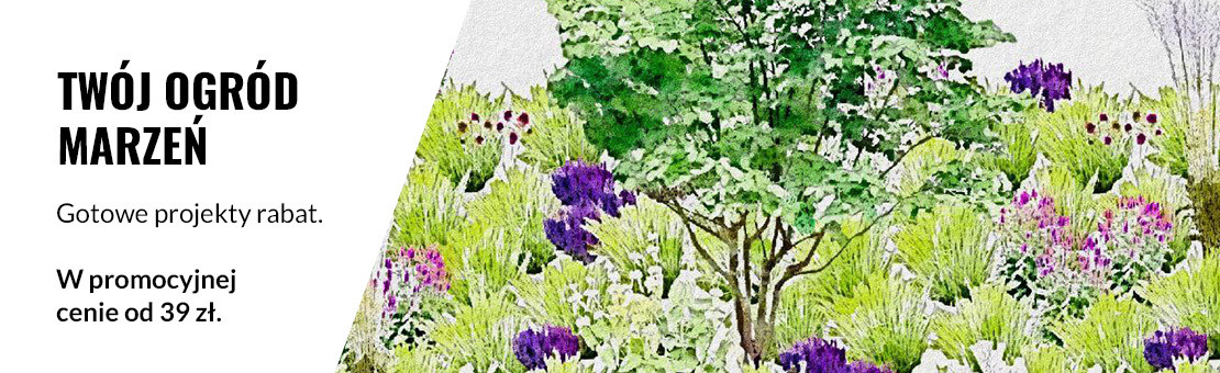sample-2